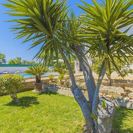 Ca Na Sota Ferienhaus Inca (Mallorca)